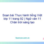 Soạn bài Thực hành tiếng Việt lớp 11 trang 92 | Ngữ văn 11 Chân trời sáng tạo