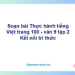 Soạn bài Thực hành tiếng Việt lớp 9 trang 100 Tập 2 | Kết nối tri thức Ngữ văn 9