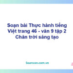 Soạn bài Thực hành tiếng Việt lớp 9 trang 46 Tập 2 | Chân trời sáng tạo Ngữ văn 9