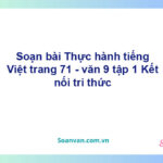 Soạn bài Thực hành tiếng Việt lớp 9 trang 71 Tập 2 | Kết nối tri thức Ngữ văn 9