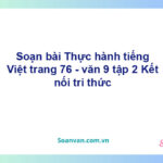 Soạn bài Thực hành tiếng Việt lớp 9 trang 76 Tập 2 | Kết nối tri thức Ngữ văn 9