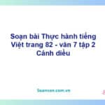 Soạn bài Thực hành tiếng Việt lớp 7 trang 82 tập 2 | Cánh diều Ngữ văn 7