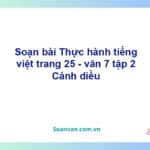 Soạn bài Thực hành tiếng Việt lớp 7 trang 25, 26 tập 2 | Cánh diều Ngữ văn 7