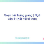 Soạn bài Tràng giang | Ngữ văn 11 Kết nối tri thức