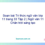 Soạn bài Tri thức ngữ văn lớp 11 trang 33 Tập 2 | Ngữ văn 11 Chân trời sáng tạo