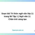 soạn bài tri thức ngữ văn lớp 11 trang 56 tập 1 ngữ văn 11 chân trời sáng tạo