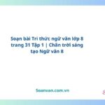 soạn bài tri thức ngữ văn lớp 8 trang 31 tập 1 chân trời sáng tạo ngữ văn 8