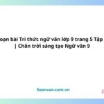 soạn bài tri thức ngữ văn lớp 9 trang 5 tập 2 chân trời sáng tạo ngữ văn 9