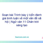 Soạn bài Trình bày ý kiến đánh giá, bình luận về một vấn đề xã hội | Ngữ văn 11 Chân trời sáng tạo