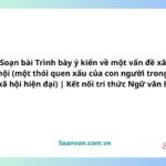 soạn bài trình bày ý kiến về một vấn đề xã hội một thói quen xấu của con người trong xã hội hiện đại