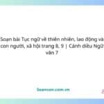 soạn bài tục ngữ về thiên nhiên, lao động và con người, xã hội trang 8, 9 cánh diều ngữ văn 7