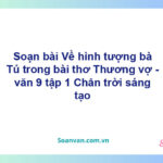 Soạn bài Về hình tượng bà Tú trong bài "Thương vợ" | Chân trời sáng tạo Ngữ văn 9