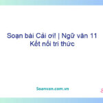 Soạn bài Cải ơi! | Ngữ văn 11 Kết nối tri thức