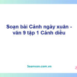 Soạn bài Cảnh ngày xuân | Cánh diều Ngữ văn 9