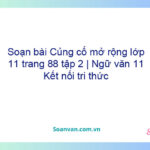 Soạn bài Củng cố, mở rộng lớp 11 trang 88 tập 2 | Ngữ văn 11 Kết nối tri thức