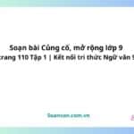 soạn bài củng cố, mở rộng lớp 9 trang 110 tập 1 kntt