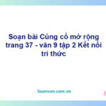 Soạn bài Củng cố, mở rộng lớp 9 trang 37 Tập 2 | Kết nối tri thức Ngữ văn 9