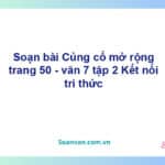 Soạn bài Củng cố, mở rộng bài 7 lớp 7 trang 50 Tập 2 | Kết nối tri thức Ngữ văn 7