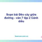 Soạn bài Đẽo cày giữa đường, Ếch ngồi đáy giếng, Con mối và con kiến | Kết nối tri thức Ngữ văn 7