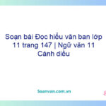 Soạn bài Đọc hiểu văn bản lớp 11 trang 147 | Ngữ văn 11 Cánh diều