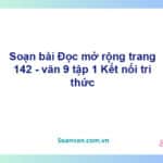 Soạn bài Đọc mở rộng lớp 9 trang 142 Tập 1 | Kết nối tri thức Ngữ văn 9