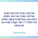 Soạn bài Giới thiệu một tác phẩm văn học hoặc một tác phẩm nghệ thuật theo lựa chọn cá nhân | Ngữ văn 11 Chân trời sáng tạo