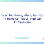 Soạn bài Hướng dẫn tự học lớp 11 trang 121 Tập 2 | Ngữ văn 11 Cánh diều