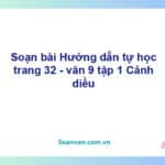 Soạn bài Hướng dẫn tự học lớp 9 trang 32 Tập 2 | Cánh diều Ngữ văn 9