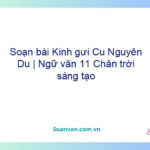 Soạn bài Kính gửi Cụ Nguyễn Du | Ngữ văn 11 Chân trời sáng tạo