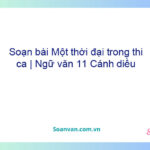 Soạn bài Một thời đại trong thi ca | Ngữ văn 11 Cánh diều