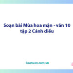 Soạn bài Mùa hoa mận | Ngữ văn 10 Cánh diều