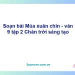 Soạn bài Mùa xuân chín | Chân trời sáng tạo Ngữ văn 9