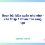 Soạn bài Mùa xuân nho nhỏ | Chân trời sáng tạo Ngữ văn 9