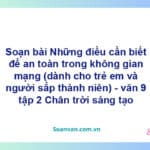 Soạn bài Những điều cần biết để an toàn trong không gian mạng (dành cho trẻ em và người sắp thành niên) | Chân trời sáng tạo Ngữ văn 9