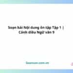 soạn bài nội dung ôn tập tập 1 cánh diều ngữ văn 9