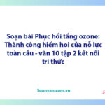 Soạn bài Phục hồi tầng ozone: Thành công hiếm hoi của nỗ lực toàn cầu | Ngữ văn 10 Kết nối tri thức