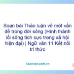 Soạn bài Thảo luận về một vấn đề trong đời sống (Hình thành lối sống tích cực trong xã hội hiện đại) | Ngữ văn 11 Kết nối tri thức