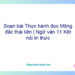 Soạn bài Thực hành đọc: Mộng đắc thái liên | Ngữ văn 11 Kết nối tri thức