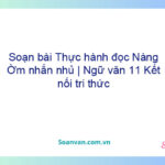 Soạn bài Thực hành đọc: Nàng Ờm nhắn nhủ | Ngữ văn 11 Kết nối tri thức