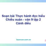 Soạn bài Chiều xuân | Cánh diều Ngữ văn 9