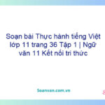 Soạn bài Thực hành tiếng Việt lớp 11 trang 36 Tập 1 | Ngữ văn 11 Kết nối tri thức