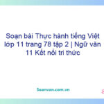 Soạn bài Thực hành tiếng Việt lớp 11 trang 78 tập 2 | Ngữ văn 11 Kết nối tri thức