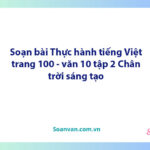 Soạn bài Thực hành tiếng Việt lớp 10 trang 100, 101 tập 2 | Ngữ văn 10 Chân trời sáng tạo