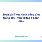 Soạn bài Thực hành tiếng việt lớp 10 trang 105 Tập 1 | Ngữ văn 10 Cánh diều