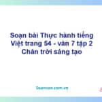 Soạn bài Thực hành tiếng Việt lớp 7 trang 54, 55, 56 tập 2 | Chân trời sáng tạo Ngữ văn 7