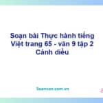 Soạn bài Thực hành tiếng Việt lớp 9 trang 65 Tập 2 | Cánh diều Ngữ văn 9