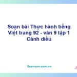 Soạn bài Thực hành tiếng Việt lớp 9 trang 92 Tập 2 | Cánh diều Ngữ văn 9