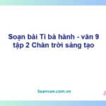 Soạn bài Tì bà hành | Chân trời sáng tạo Ngữ văn 9