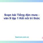 Soạn bài Tiếng đàn mưa | Kết nối tri thức Ngữ văn 9