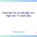 Soạn bài Tôi có một giấc mơ | Ngữ văn 11 Cánh diều